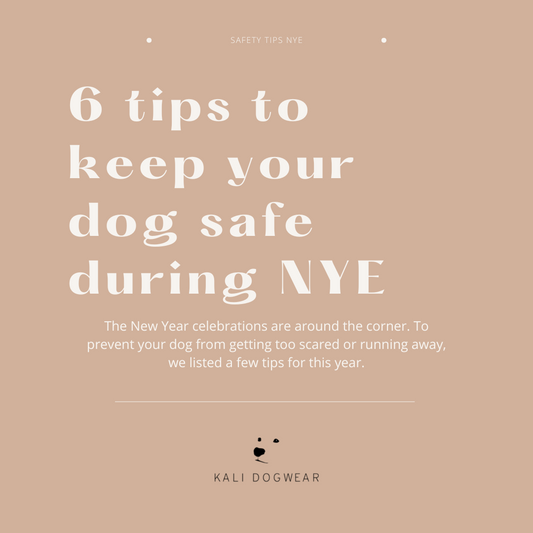 How to keep your Dog safe during NYE