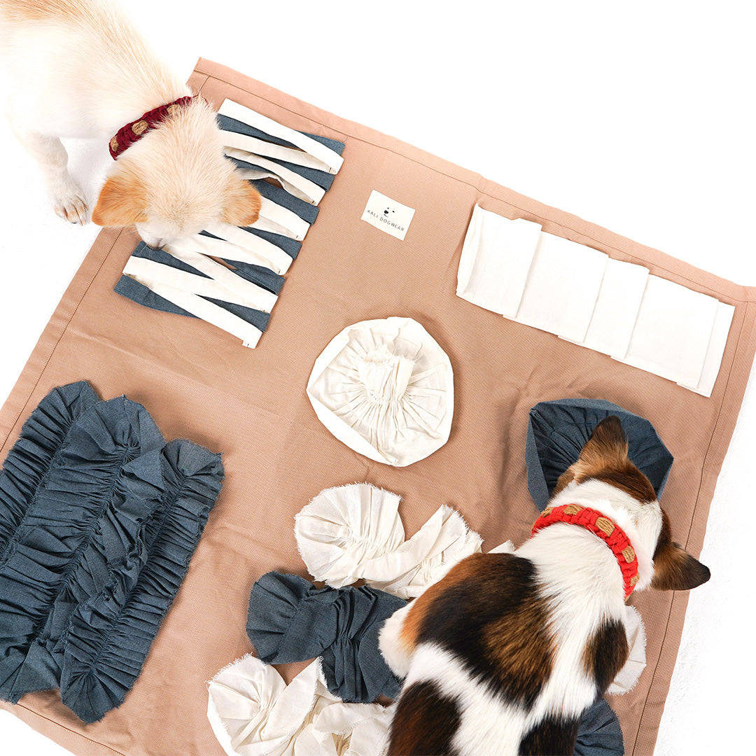 Sniff Rug Square