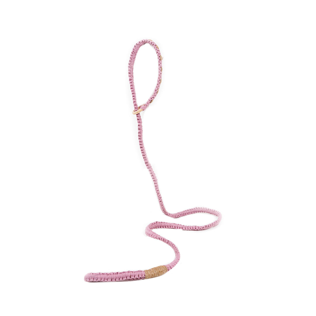 2-in-1 Thomas Leash
