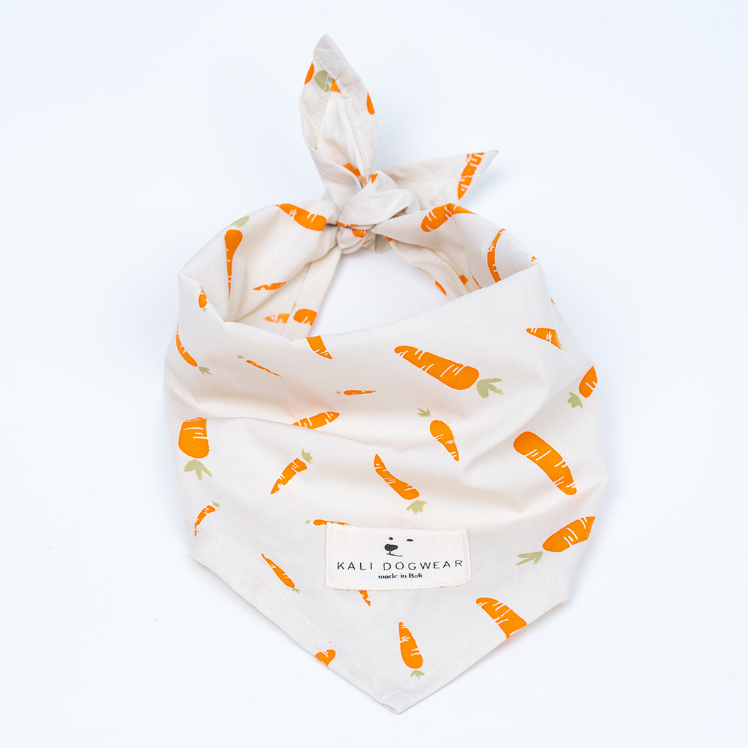 Bandana "Crispy Carrot"