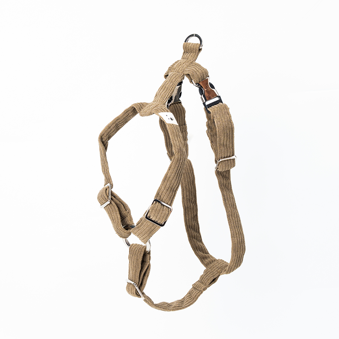 Dog Harness "Cordo"