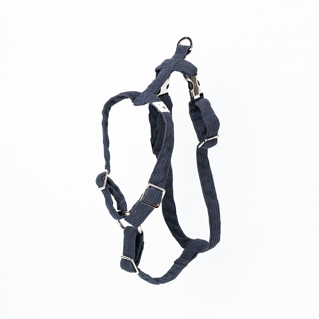Dog Harness "Cordo"