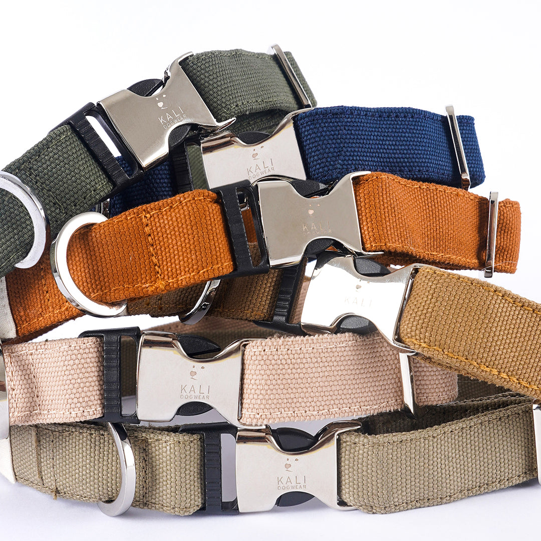 AirTag Collar