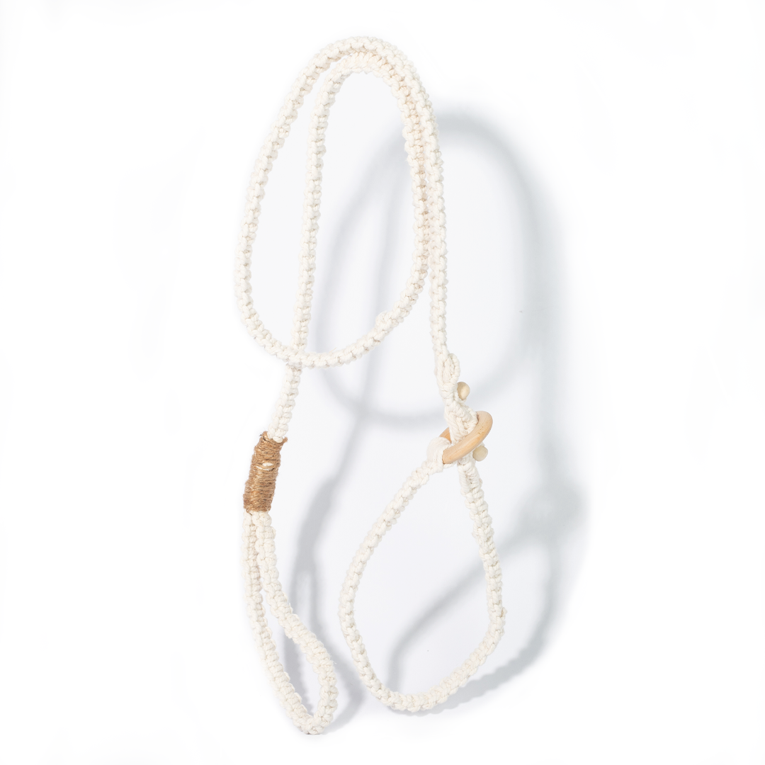 2-in-1 Thomas Leash