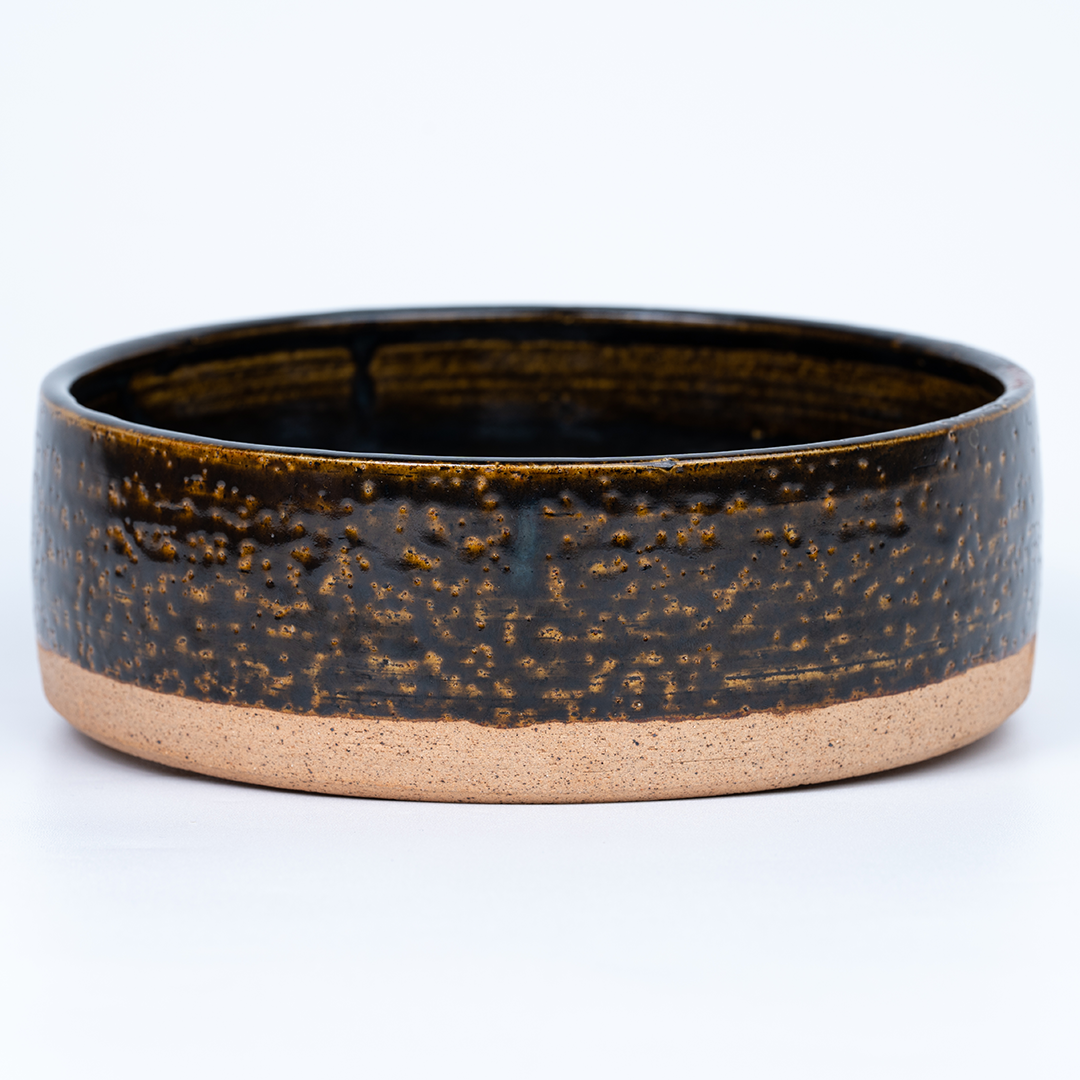 Slow Feeder Dog Bowl