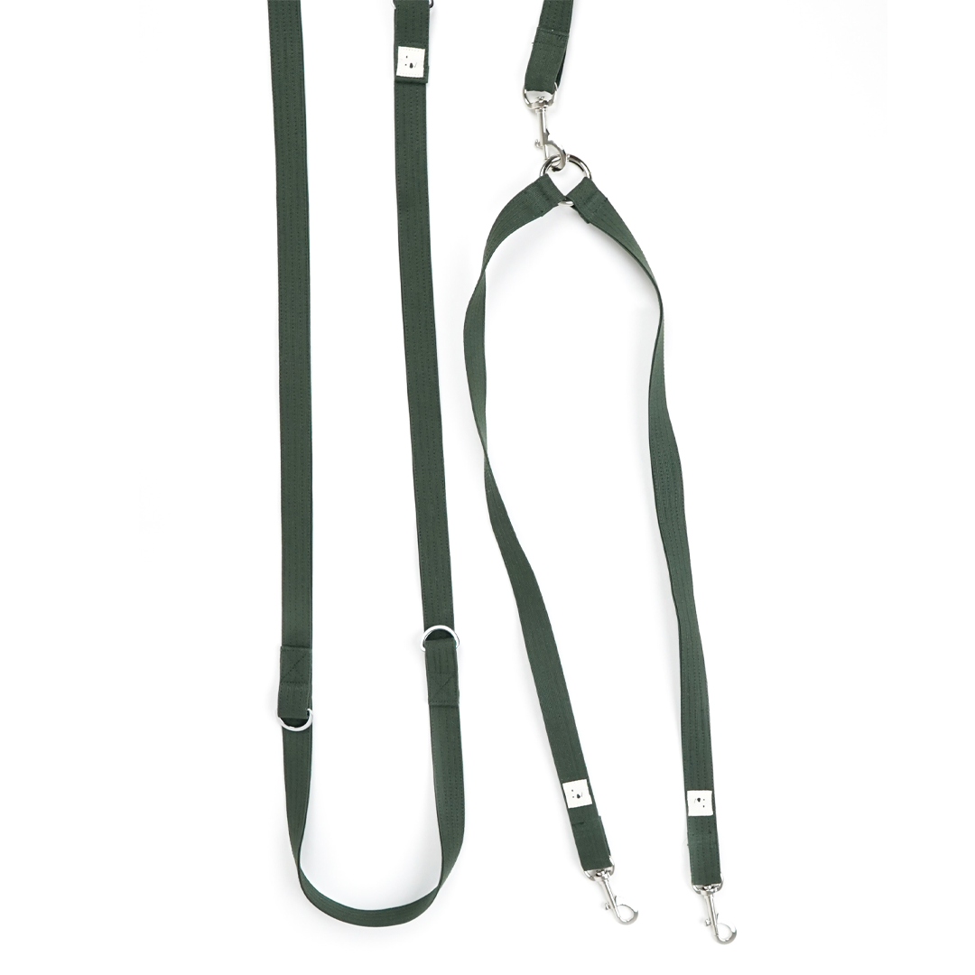 Leash "Extension"