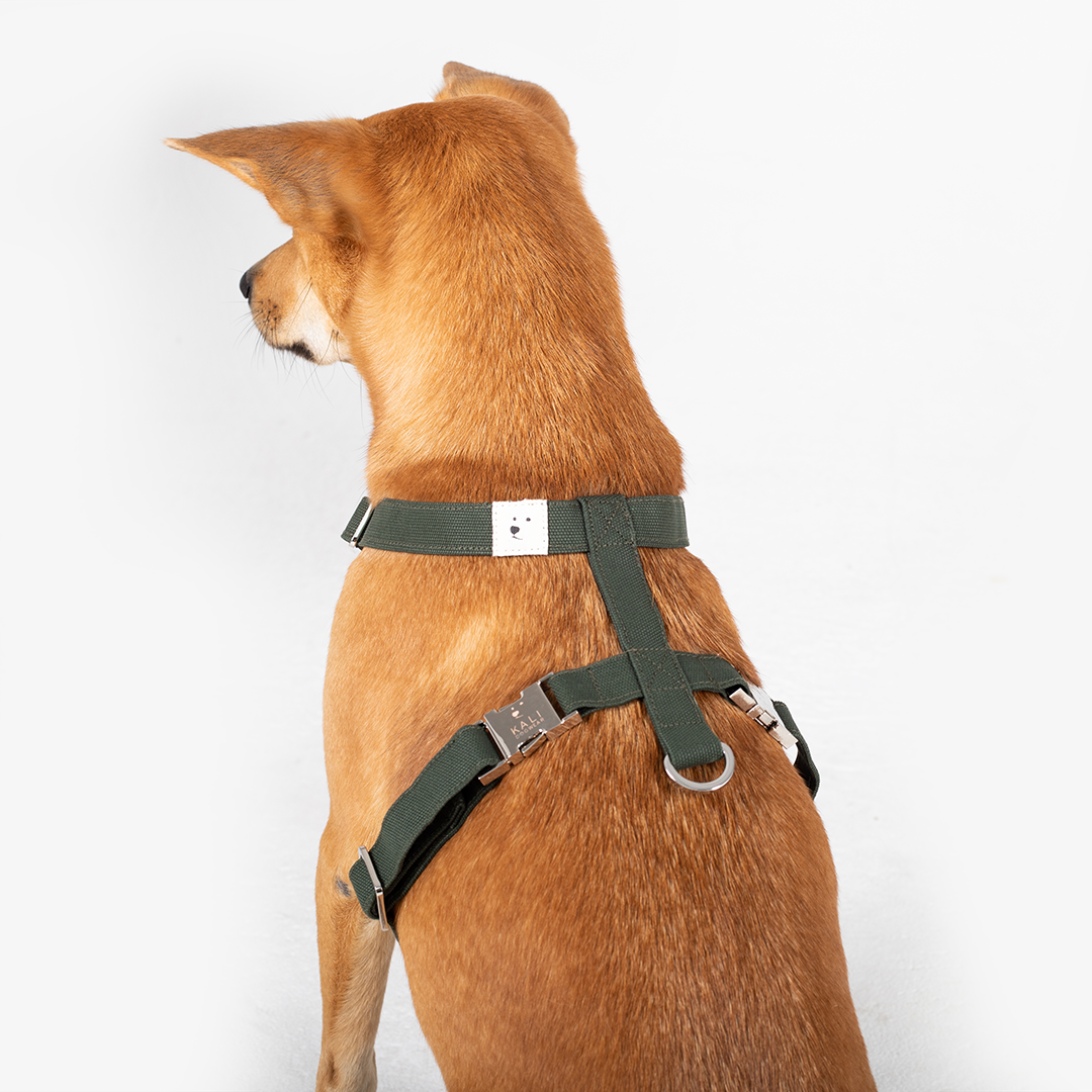 Dog Harness