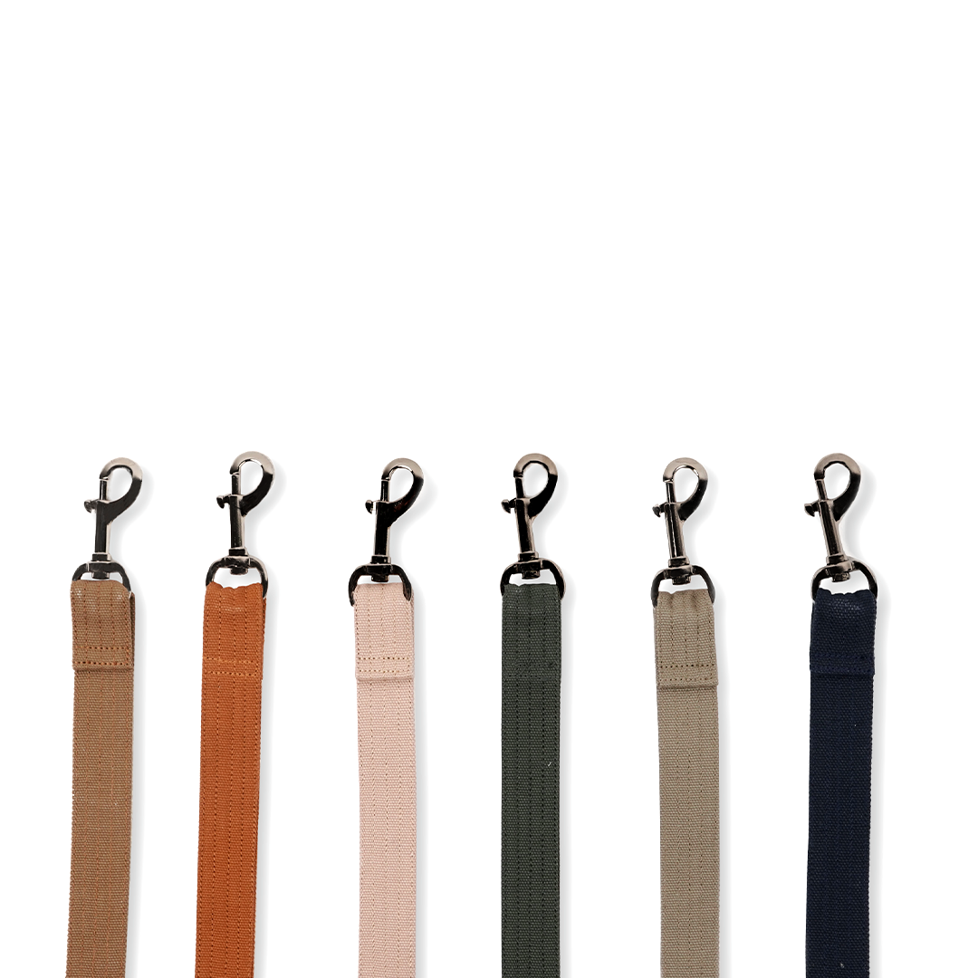 Leash "Poop Bag 1"