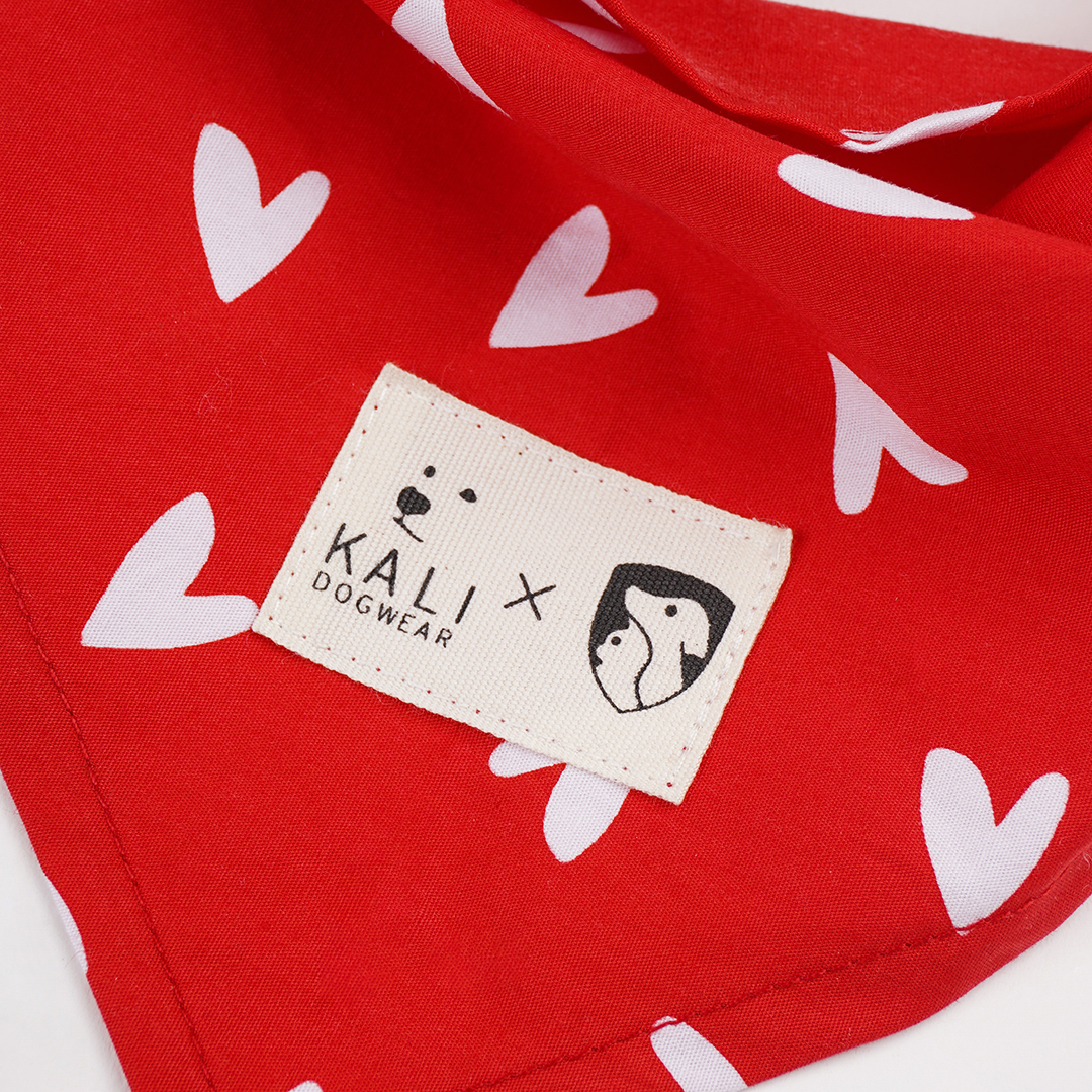 Bandana "Love is Love"