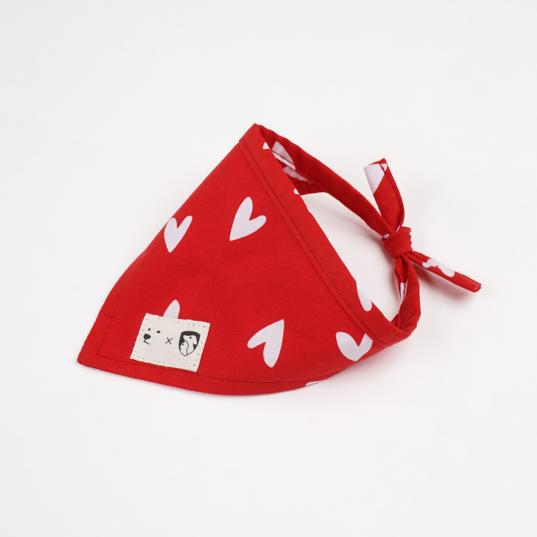 Bandana "Love is Love"