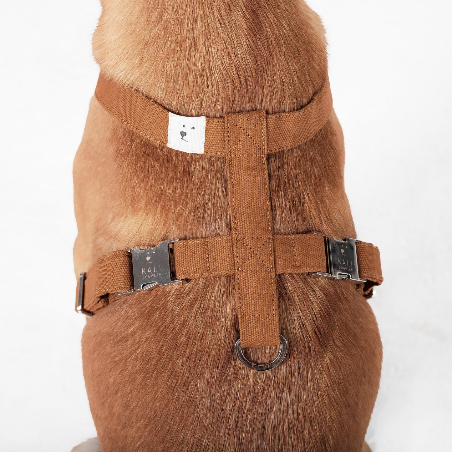 Dog Harness