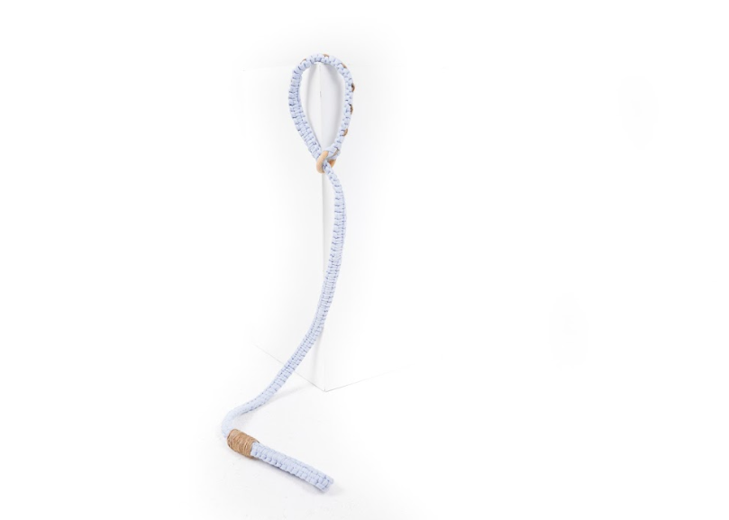 2-in-1 Thomas Leash