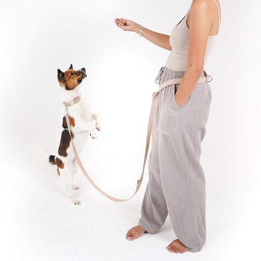 Leash "Handsfree"