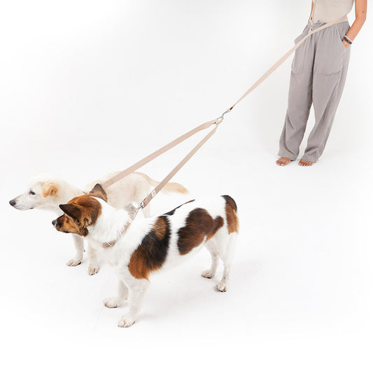 Leash "Extension"