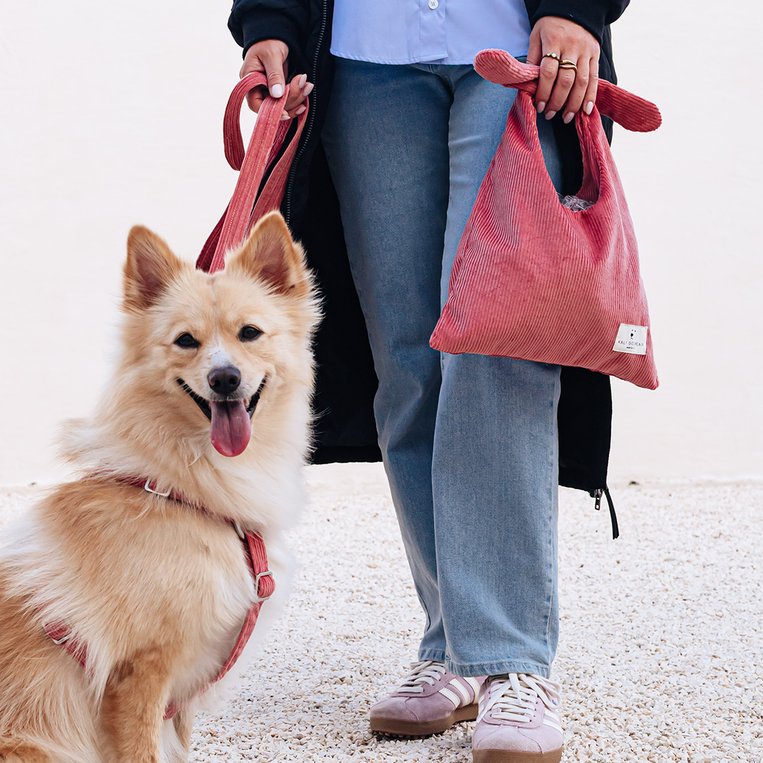 Dog Harness "The Senja"