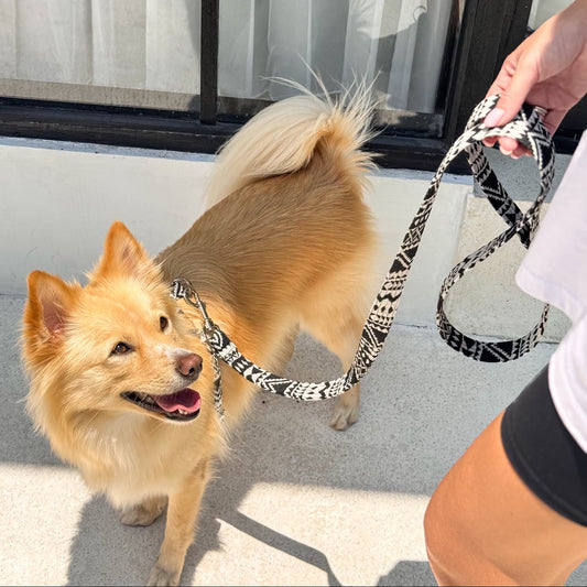 Leash "Tribal"