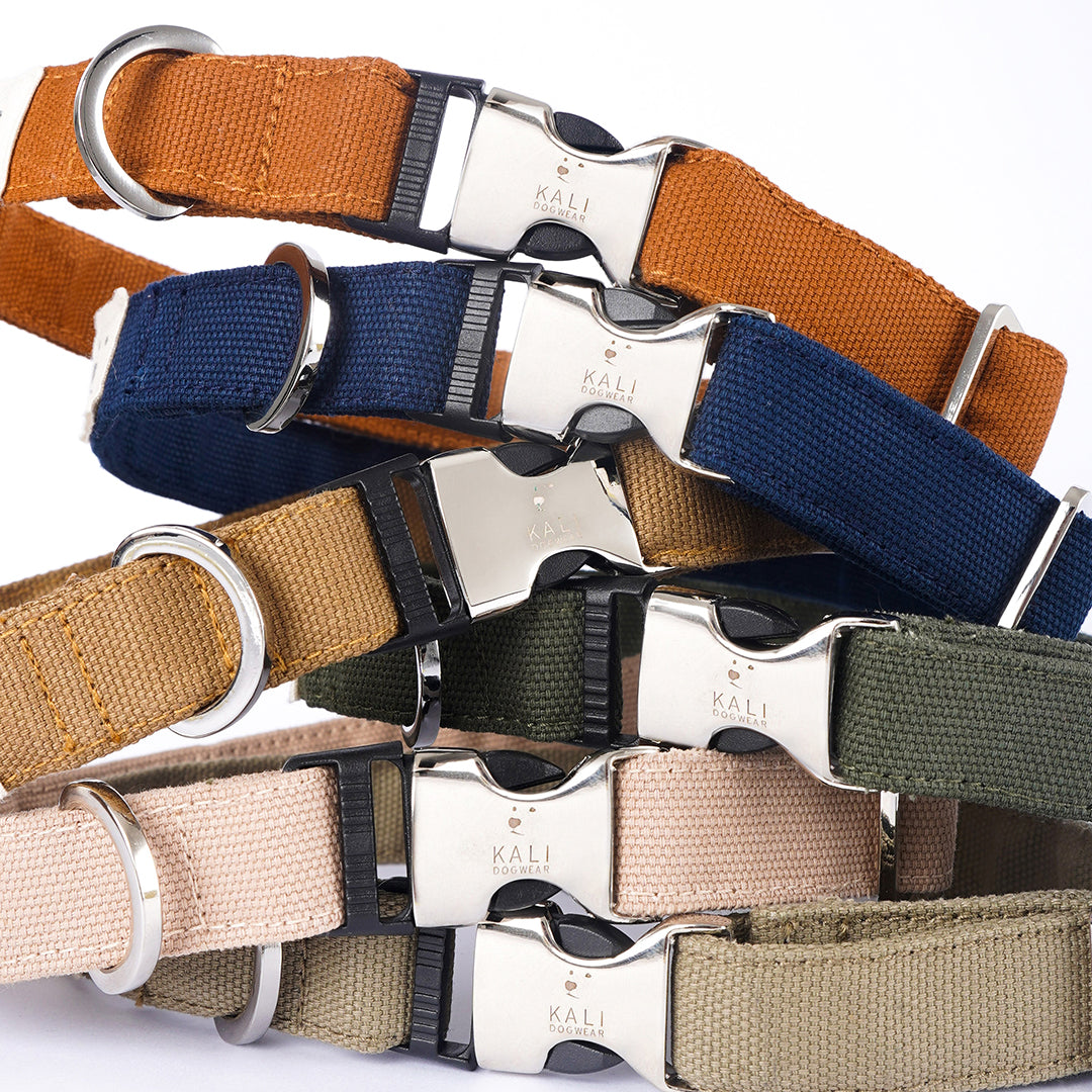 Simple Collars Collar