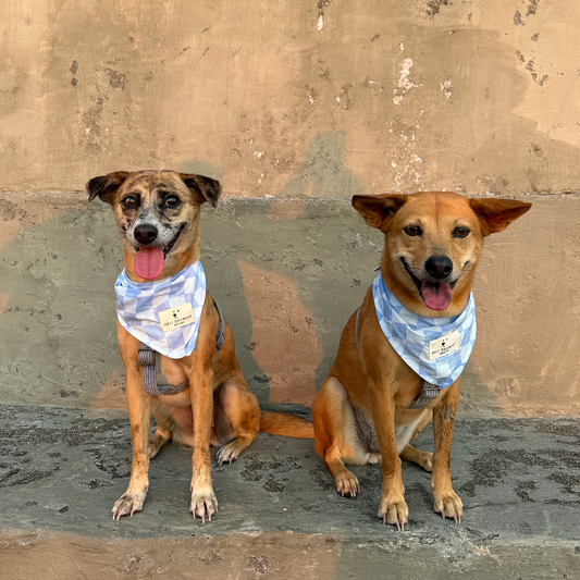 Bandana "The Retro" Blue