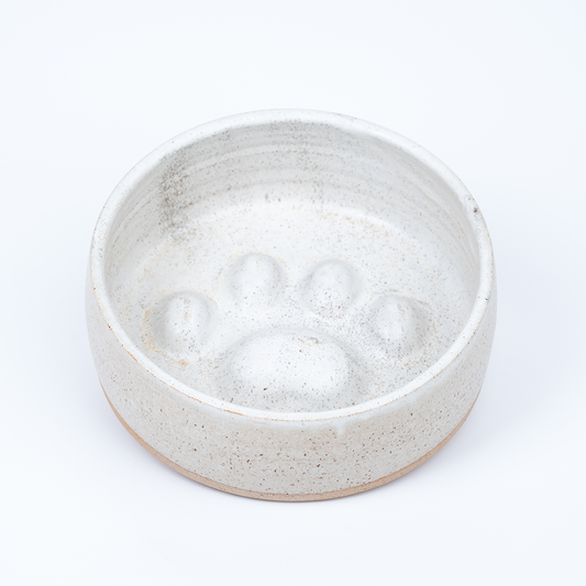 Slow Feeder Dog Bowl