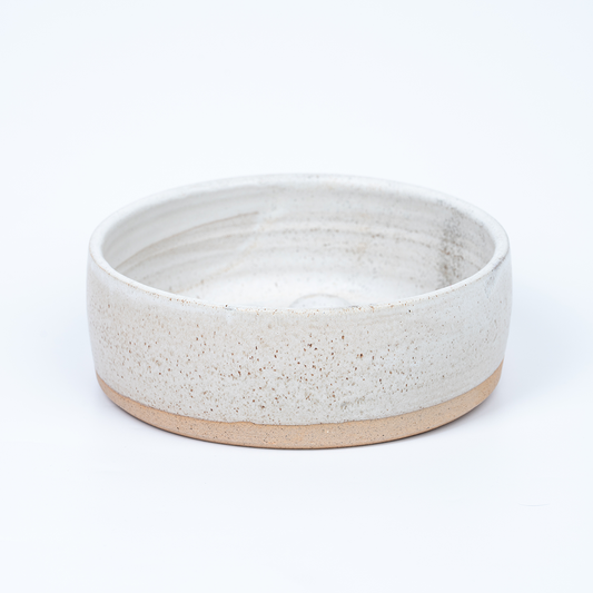 Slow Feeder Dog Bowl