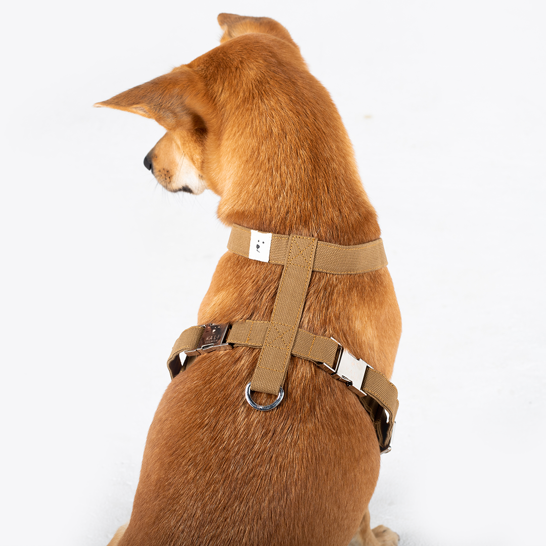 Dog Harness