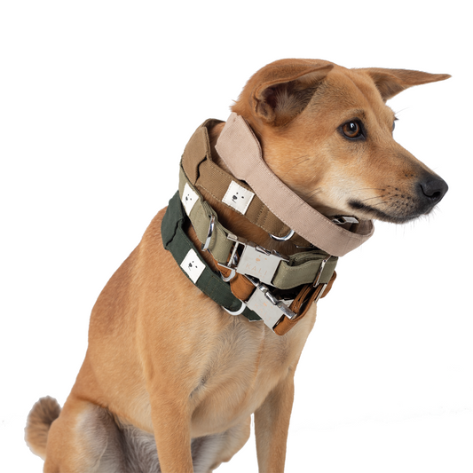 AirTag Collar