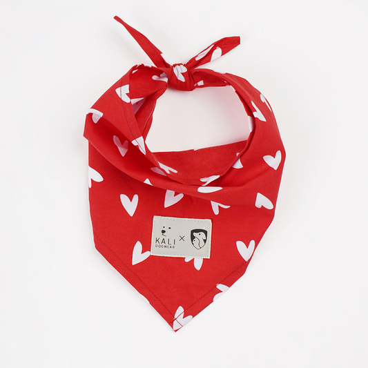 Bandana "Love is Love"