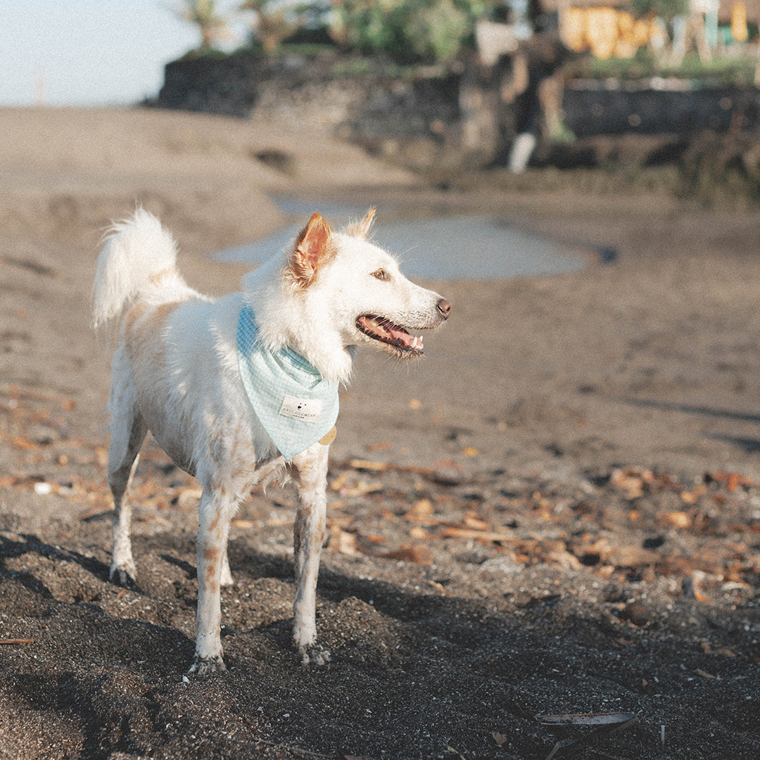 Bandana Special Edition "Beach Clean Up"