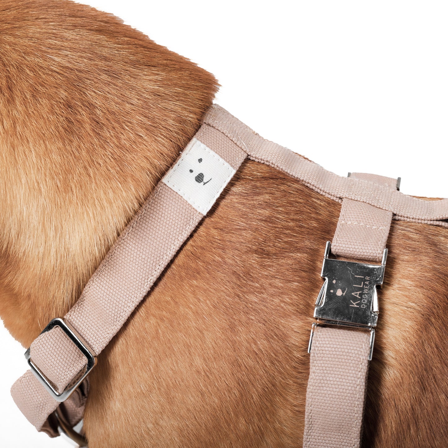 Dog Harness