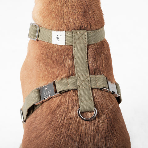 Eco-Friendly Dog Harness | Kali Dogwear