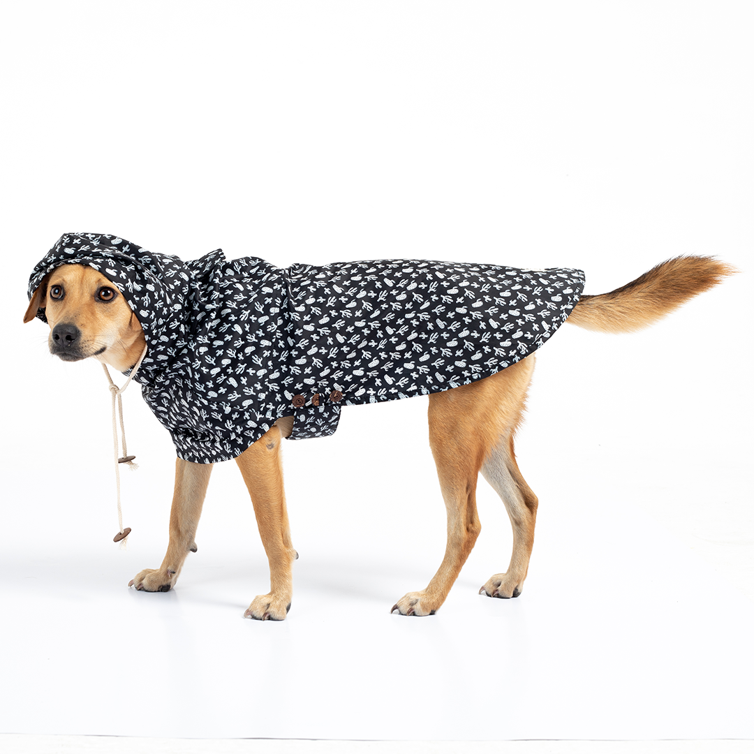 Clearance Sale: Old Raincoat